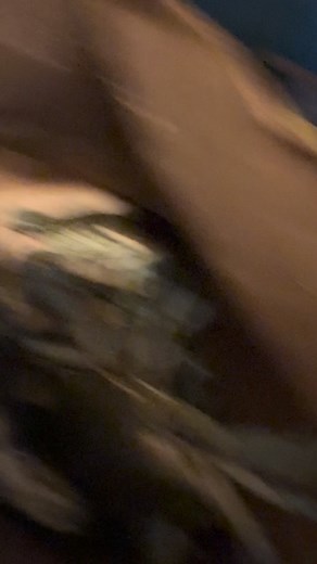 Crabs in a bucket theory | Linderia Watts