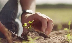 Growing food for a growing planet: Three perspectives on American farming