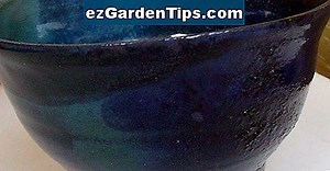 Comment utiliser un pulvérisateur à pression 🌱 Conseils Jardiniers - Fr.ezGardenTips.com