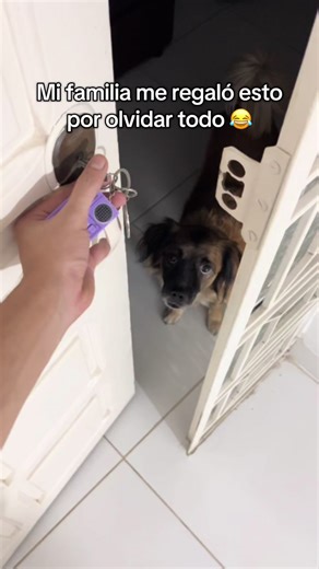 Pésima memoria? Pues yo también y este fue mi regalo para mi llavero 😂 #llavero #grabar #olvidar #recordar #memoria