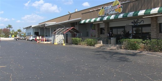 Manatee County approves $13.5 million purchase of Mixon Fruit Farms