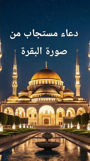 صورة البقرة قرأ دة أحمد فرس تلاوة خاشعة #قرآن #الرحمن #fun #اكسبلور #المصحف #fy #ترند #funny #love