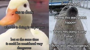 What They're Doing Is Very Smart but Also Very Dangerous | Know Your Meme