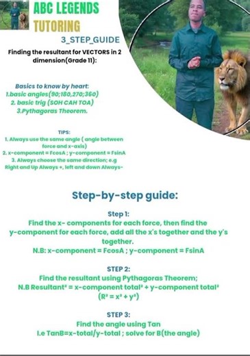 Grade 11 Vectors in 2D. 3-Step guide of finding the resultant