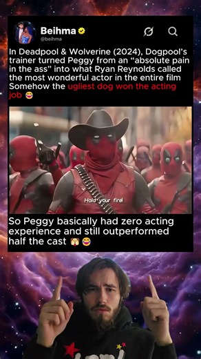 In Deadpool & Wolverine (2024) Dogpool Was Britain’s Ugliest Dog 😂