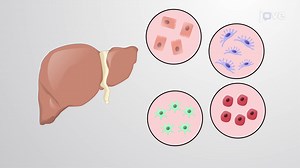 Video: Overview Of Cell Separation And Isolation