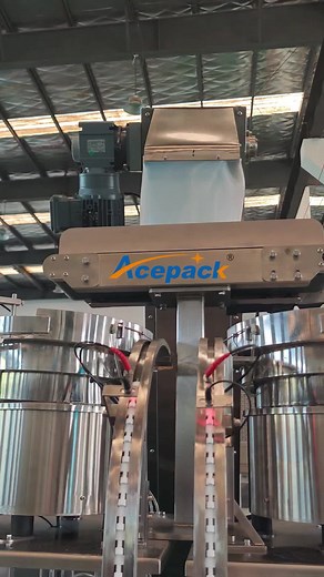 Shanghai Acepack high precision and high quality horizontal packaging machine#packingmachineprice #acepackshanghai #packingmachine