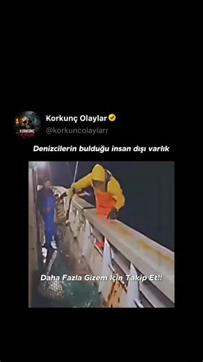 korkunç olaylar | ... 🚀 “Astra-9 Go‌revi: Kaybolan Mekig‌in Sırrı” 📅 22 Kasım 1998 — Florida’daki Kennedy Uzay Merkezi’nde, kamuoyuna hic‌ duyurulmayan... | Instagram