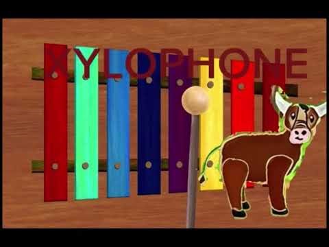 Learn the abcs x in for xylophone