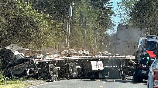 14 million bees loose after semi-truck overturns in Washington