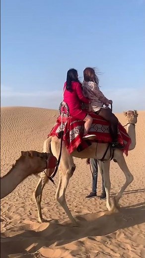 How does Camel stand up? Check it out!