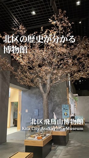 きたいを超える 東京北区【公式】 on Instagram: "--------------------------------- 飛鳥山公園内にある「北区飛鳥山博物館」をご紹介します🏛️✨ 北区の歴史・文化を、実物資料や模型展示などで楽しみながら学べるスポットです。 🕙開館時間：10:00～17:00（常設展示室観覧券の発行は16:30まで） 📍所在地：東京都北区王子1-1-3（飛鳥山公園内） 🗓休館日：月曜、年末年始、臨時休館日（祝日等の場合は振替あり） 🎫常設展観覧料：一般300円／65歳以上150円／小中高100円（未就学児無料） 🚃アクセス：JR王子駅南口 徒歩5分／都電荒川線 飛鳥山 徒歩4分／南北線 西ケ原 徒歩7分 --------------------------------- ※詳細は@asukayama_museをご覧ください。 #東京 #週末お出かけ #東京都北区 #きたいを超える東京北区 #北区飛鳥山博物館"