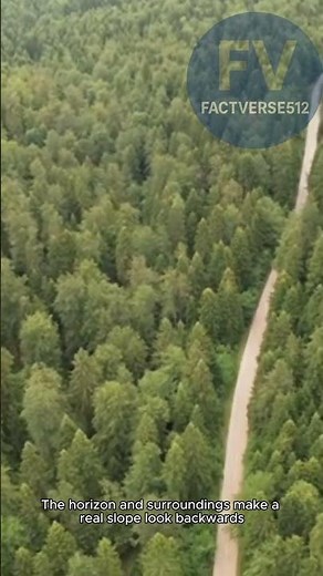 Gravity Hill: Where Cars Roll Uphill?! Explained