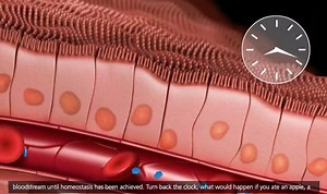 3.6K views · 66 reactions | HOMEOSTASIS source: 3d animation | Life Sciences Academy | Facebook