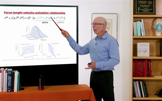 Biomechanics of Movement _ Lecture 5.4_ Putting it All Together to Model Muscle-