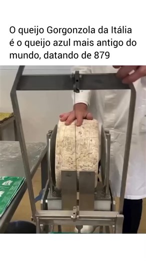 Universo Cativante on Instagram: "✨ Siga @universocativante._ e descubra o que ninguém te conta! 🚀🔍 O queijo Gorgonzola italiano é um dos queijos mais antigos ainda produzidos hoje, com origens que remontam a 879 d.C. Produzido nas regiões do norte, perto de Milão, é conhecido por sua textura cremosa e veios azul-esverdeados formados pelo processo natural de maturação. O que começou como um simples queijo de aldeia há mais de mil anos tornou-se um ícone da culinária italiana, valorizado por se