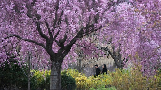 When is the first day of spring? What to know about next season and how long it lasts