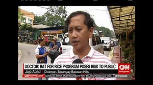 2.8K views · 19 reactions | Quezon City is among the areas with the highest number of leptospirosis cases. One barangay claims to have found a way to fight this disease spread by rats: A 'Rice for Rat' program. But is this actually safe and effective? www.cnn.ph | NewsWatch Plus Philippines | Facebook