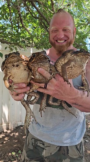 World's Largest Toad Species! | Wild Charles