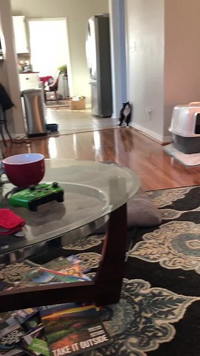 Wobbly Winston on TikTok