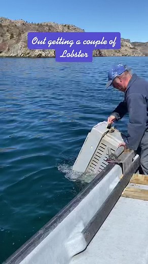 Exploring Lobster Fishing in Newfoundland
