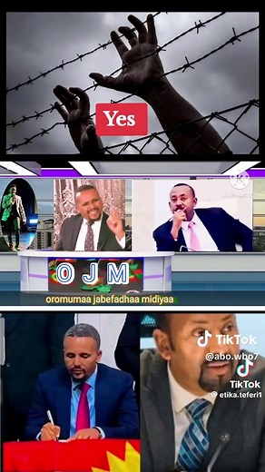 ABO WBO على TikTok