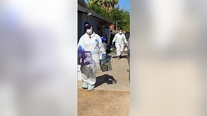 Arizona Humane Society: 227 rabbits and bunnies seized from Gilbert home