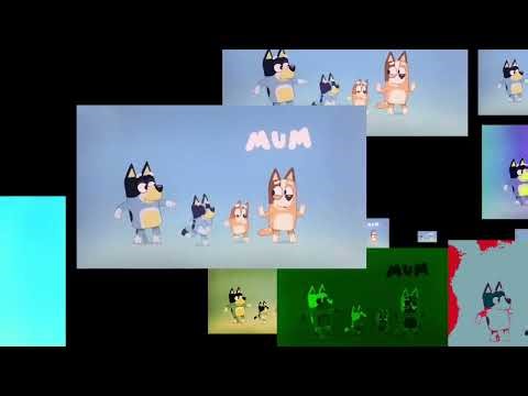 Bluey Bingo theme song colorful