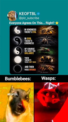The Internet Finally Settled the Bee vs Wasp Debate 🐝💀