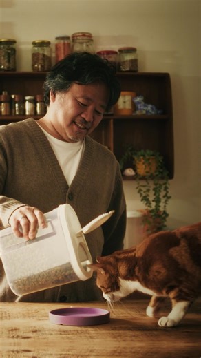 Big-name pet food brands, now at small prices!  Give your pet the best without the premium cost. Shop now and save today! | Pet Drugs Online | Facebook