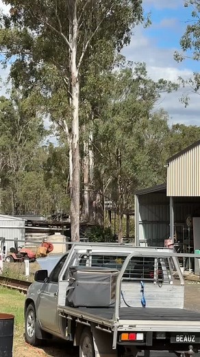 Good job Beau 🤣🤣🤣