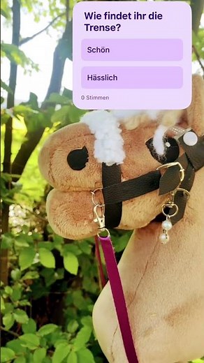 Selbstgemachte trense#viral#hobbyhorsing#trense#basteln#shorts