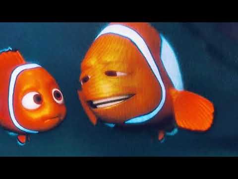 Finding Dory: Back in Quarantine