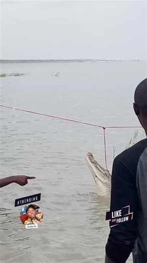 Cheruiyot Mutai on Instagram: "Funniest and scariest clip 😂"