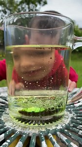 🧫 We just tried the lava lamp experiment! We used 9 parts oil to 1 part water & a good splash of food colouring, we then dropped in a couple of Alka Seltzer’s. (Which have been in the cupboard since 1997🤭😂) It worked really well! | Family days. Tried & tested.