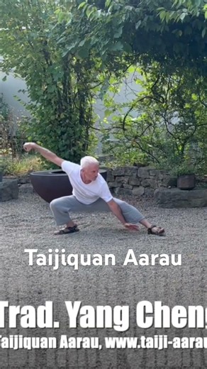 下势 Lower posture, Taijiquan Aarau #martialarts #taichi #taichichuan #taiji #taijiquan #tuishou