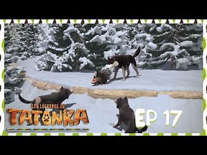 Tatonka en Français 🐺 Une histoire de territoire 👀 Dessin animé