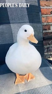 Quack, quack, quack: Tickle your duck and its laughter will blow all troubles away. | People's Daily, China