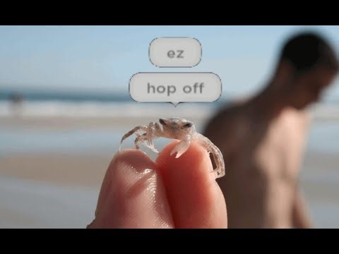 Crypt blade demon :3