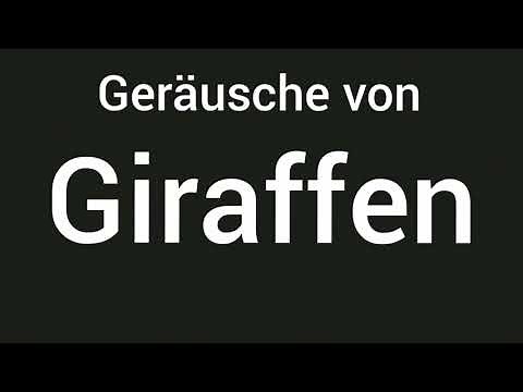 Geräusche von Giraffen 🔊