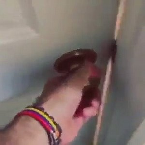 373K views · 6.9K reactions | Cuando tienes un día difícil y tu lomito lo arregla todo 殺 | Telehit | Facebook