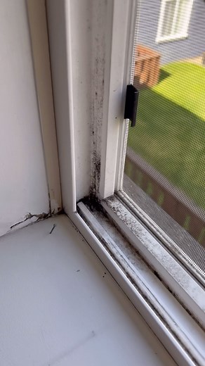 6.6K views · 310 reactions | Ahh Spring Cleaning ✨殺 瘟 (wish I had my steam cleaner with me to try out) #windowclean #cleaning #deepclean #beforeandafter #springcleaning #cleaningmotivation #lol #funny #housekeeper #clean #scrub #thursday #wip #mentalhealth | Takes a Village Cleaning | Facebook