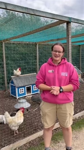 2.4K views | 퐀 퐅퐚퐫퐦 퐔퐩퐝퐚퐭퐞 퐟퐫퐨퐦 퐅퐚퐫퐦퐞퐫 퐇퐚퐧퐧퐚퐡!  It’s been a busy...