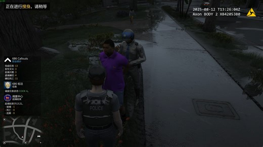 GTA（LSPDFR警察模组）LAPD洛城警局警员追击并逮捕嫌犯_哔哩哔哩bilibili