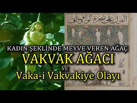 Meyvesi İnsan Olan Ağaç | Çınar Vak'ası - Vaka-i Vakvakiye (Nareepol Ağacı)