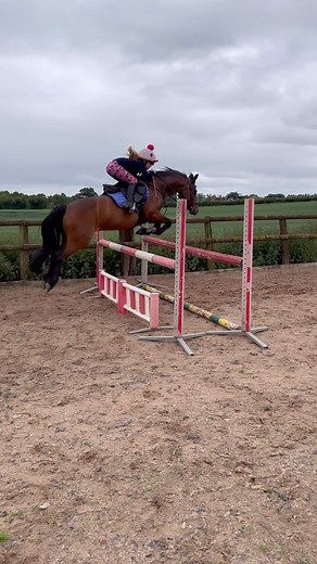 37K views · 2.8K reactions | Good lord  these jumps are getting bigger… #horse #pony #equestrian #horselover #showjumping | Jumping with Ivy | Facebook