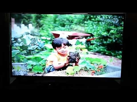 Molly Of Denali Funding Credits (2019 - Version 2)