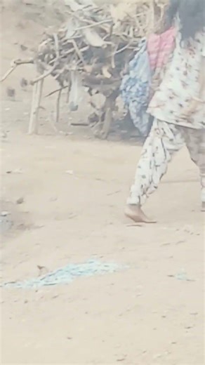 30 માર્ચ, 2026