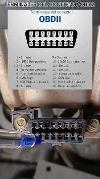 TERMINALES DEL CONECTOR OBD2