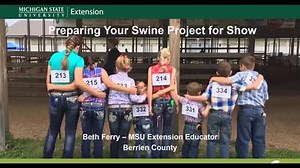 Pre-Fair Preparation for your fair pigs